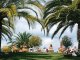 Paradise Corfu (фото 6)