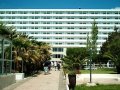 Esperides Beach Hotel (Эсперидес Бич Отель), Родос, Фалираки